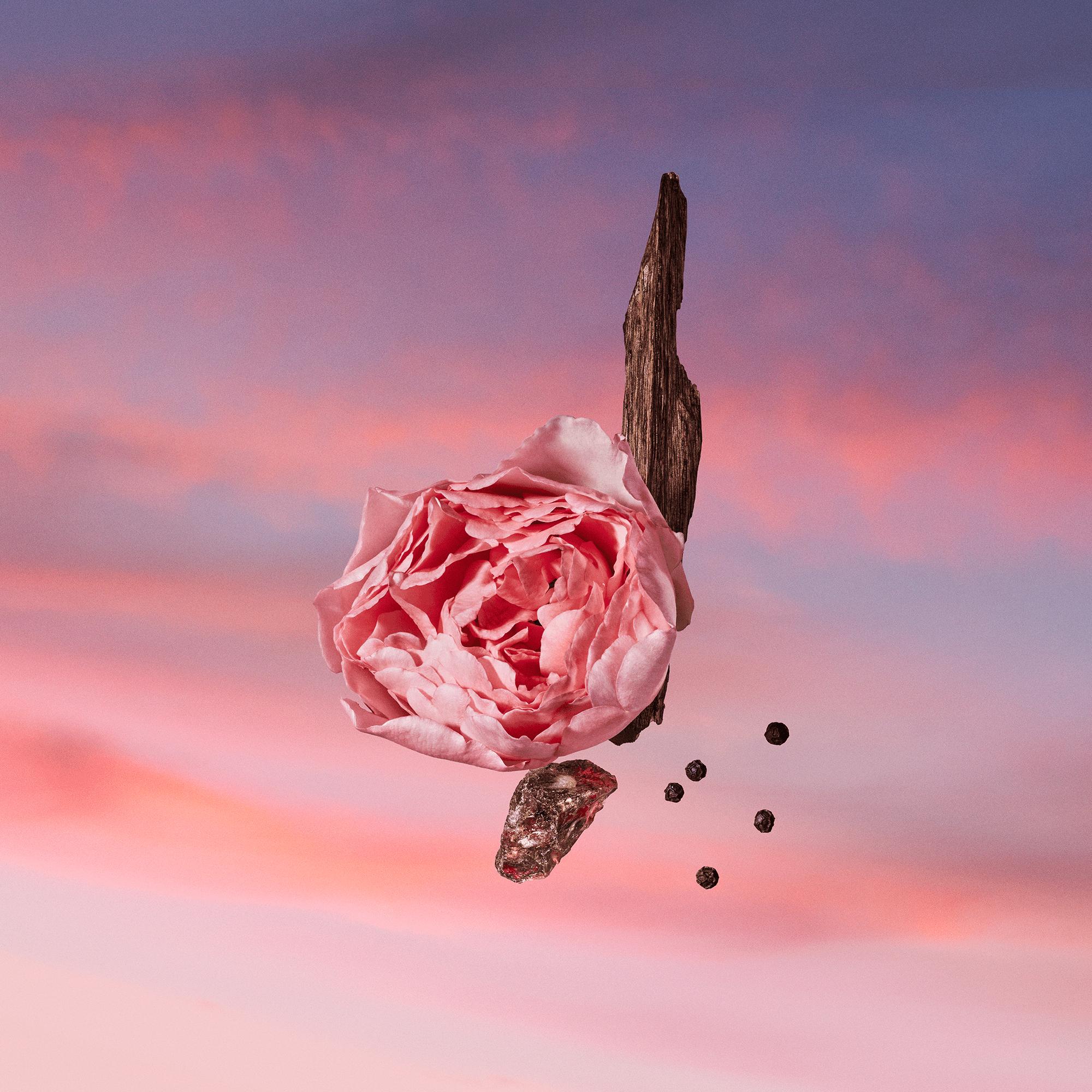 Parfum Les Sables Roses - Parfums & Beauté - Collections